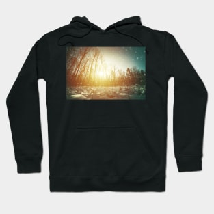 Clearing in winter forest Hoodie